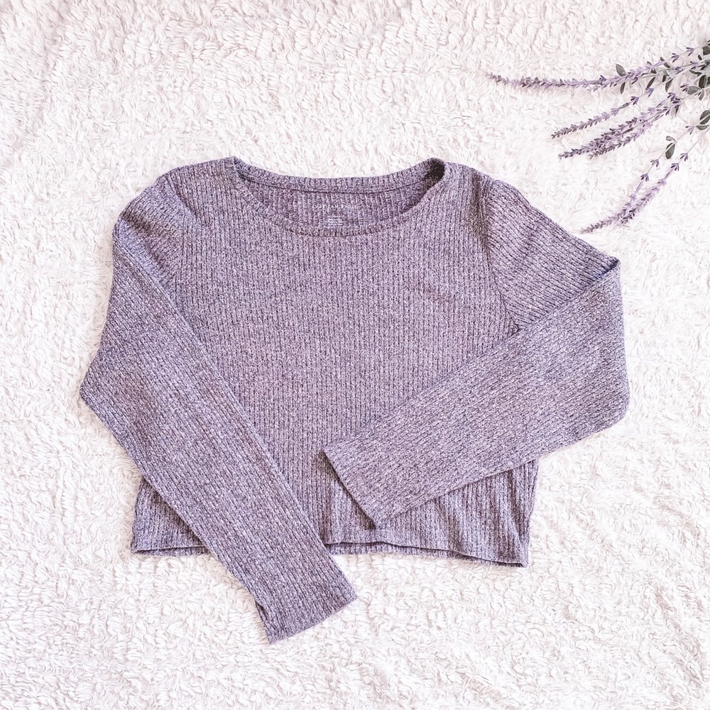 American Eagle Arie Cropped knitted purple and grey long sleeve sweater